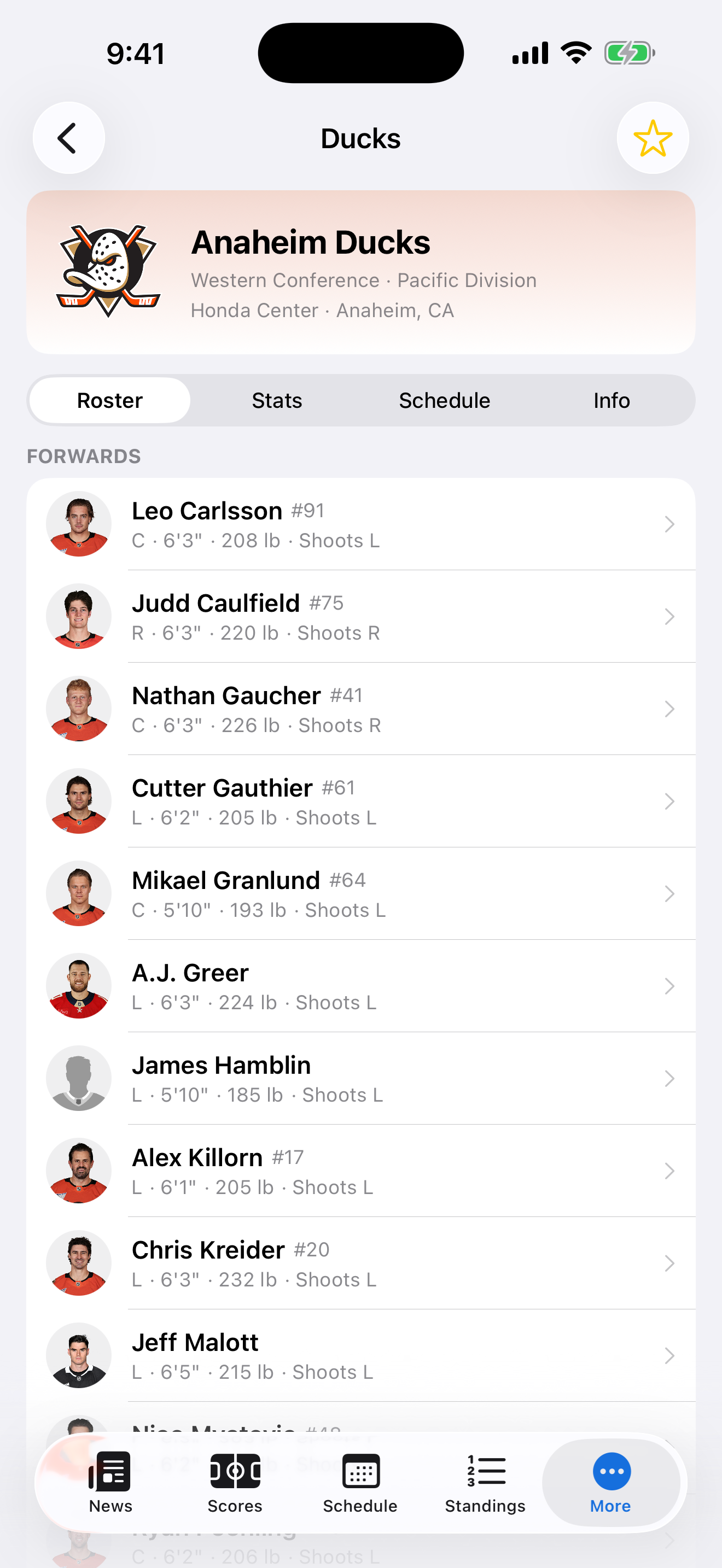 Center Ice screenshot